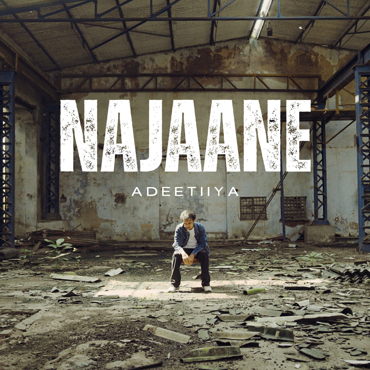 Najaane - Single by Adeetiiya album cover
