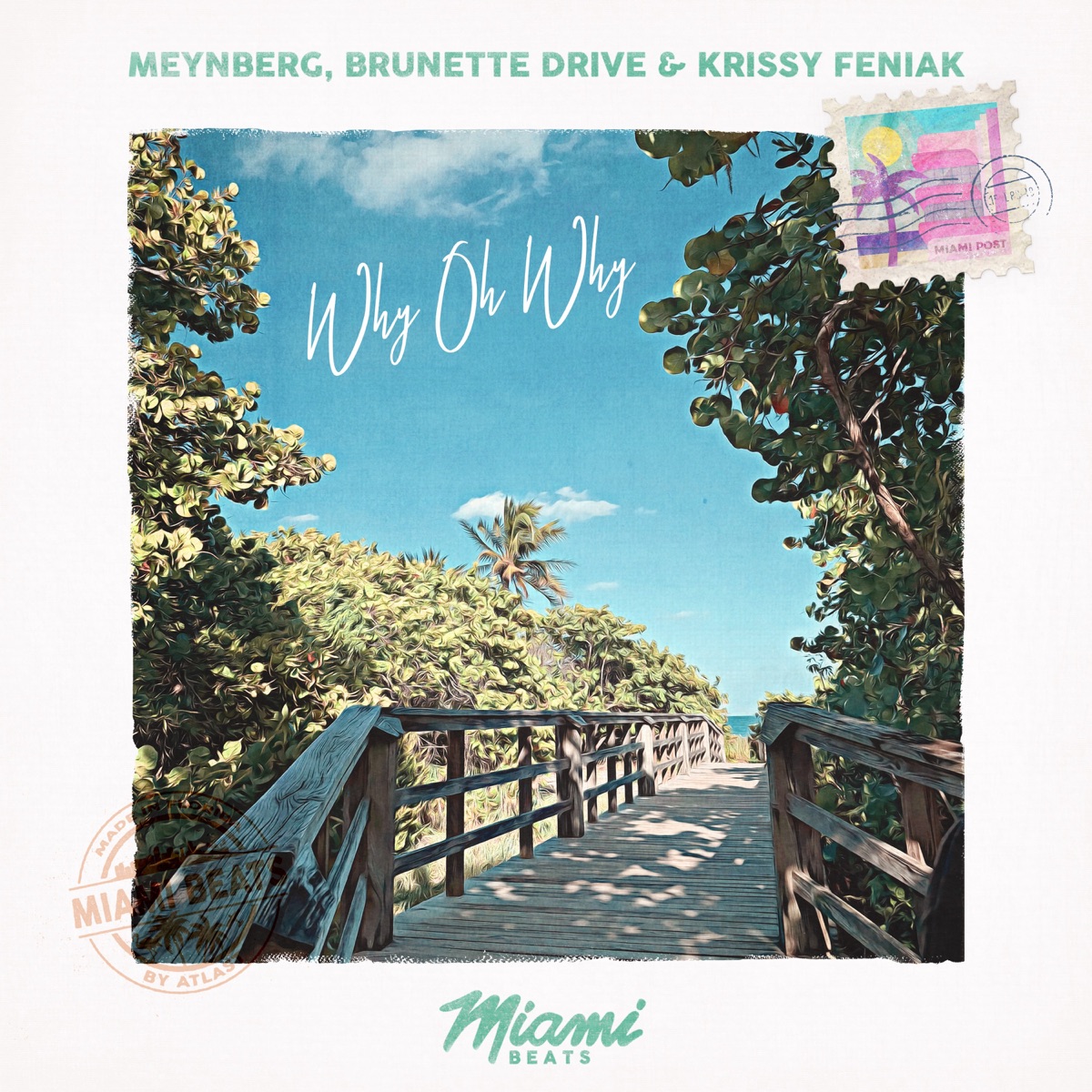 Why Oh Why - Single by Meynberg, Brunette Drive & Krissy Feniak album cover