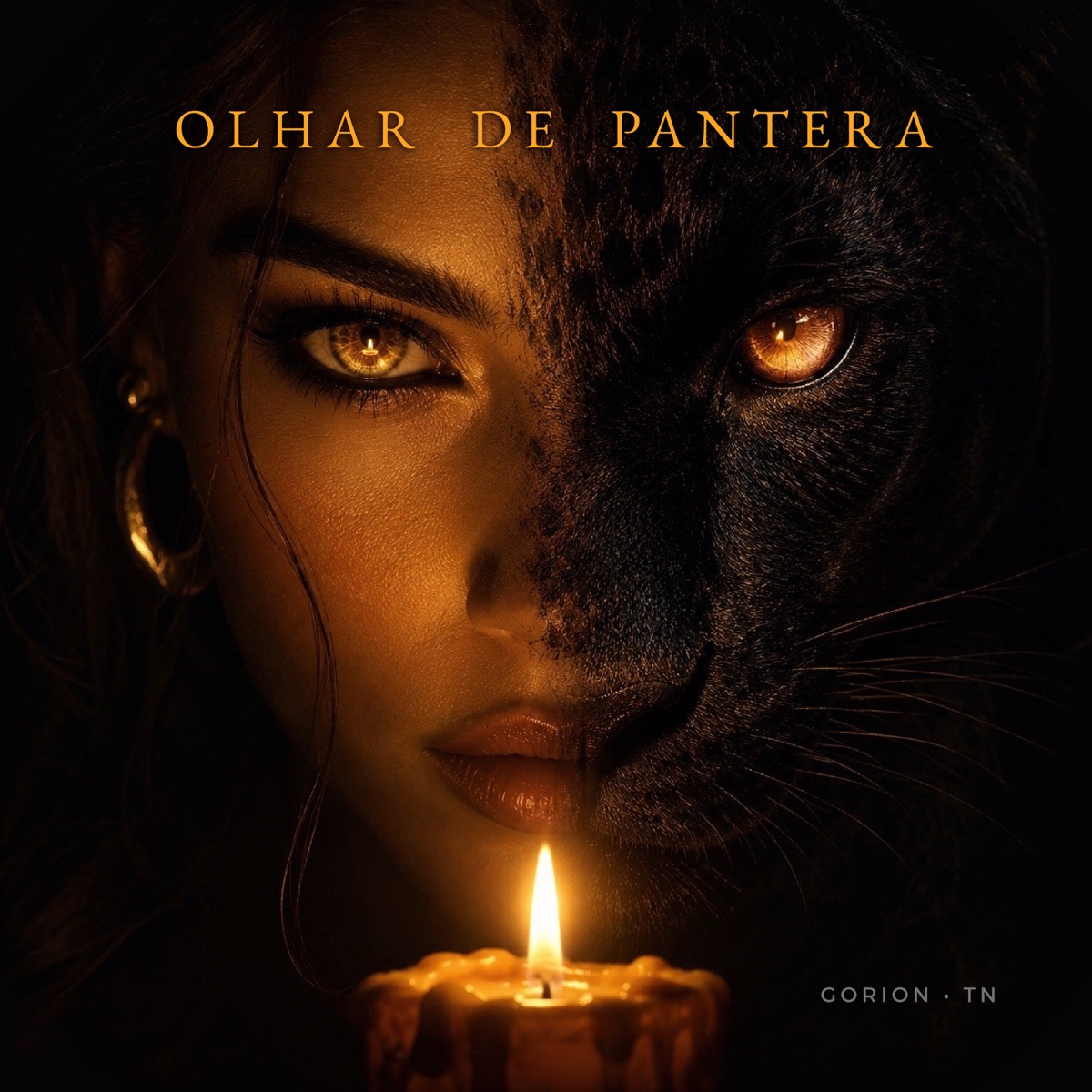 Olhar de Pantera (feat. TN) - Single by Gorion album cover