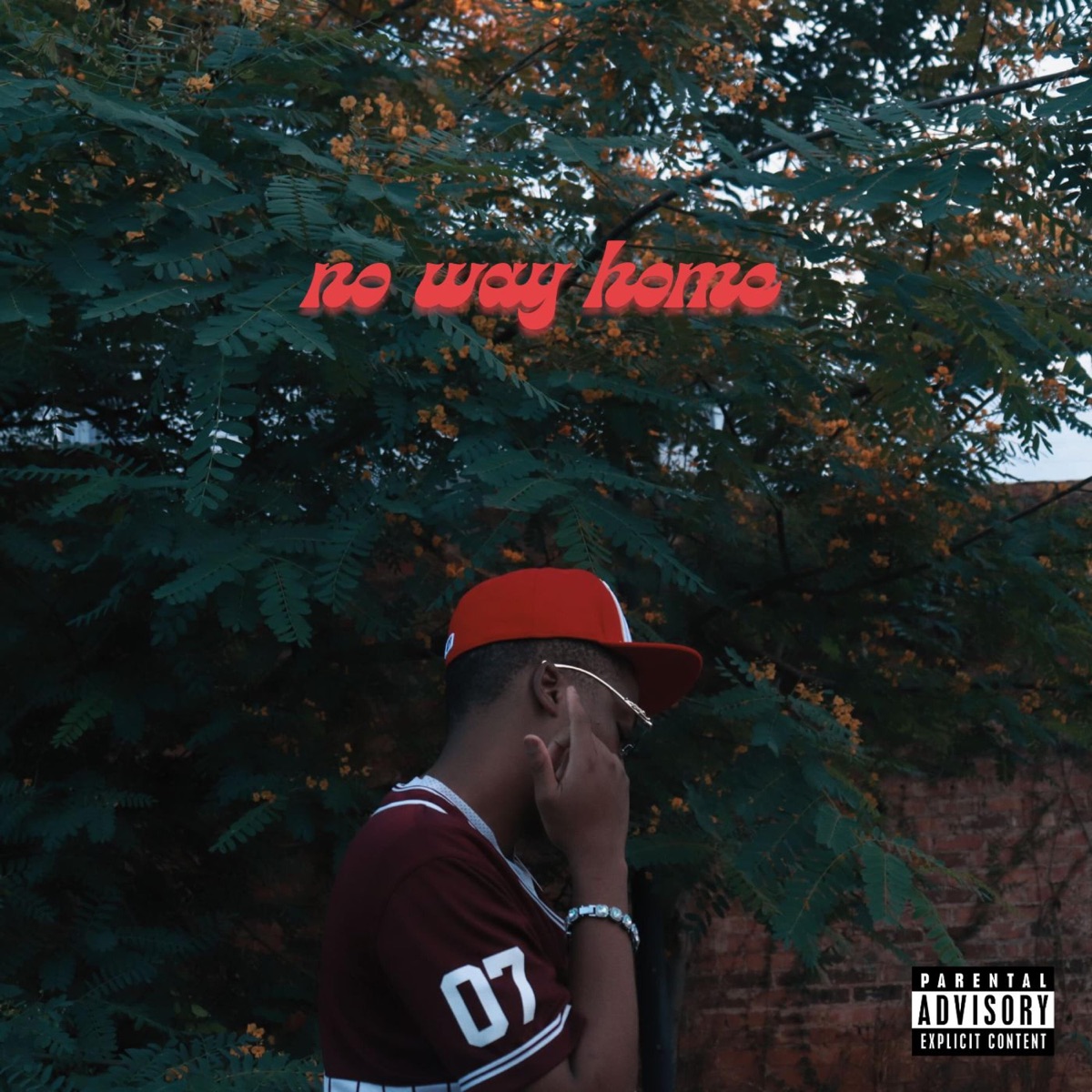 no way home (Deluxe) by Gu$tavo escobarZ album cover