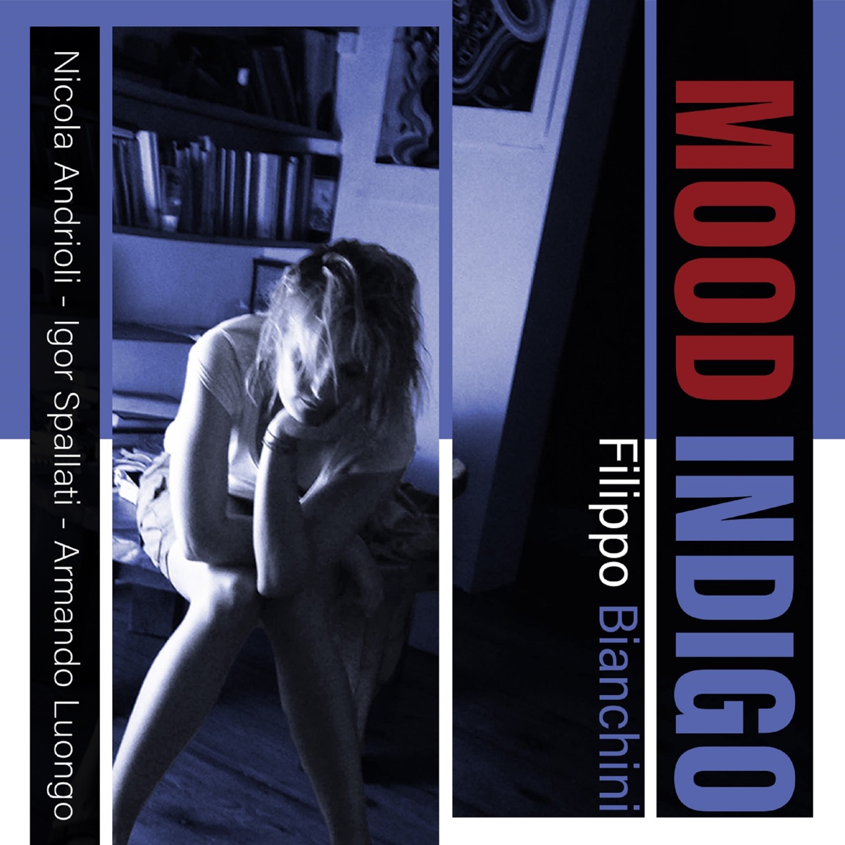 Mood Indigo (feat. Nicola Andrioli, Igor Spallati & Armando Luongo) by Filippo Bianchini album cover