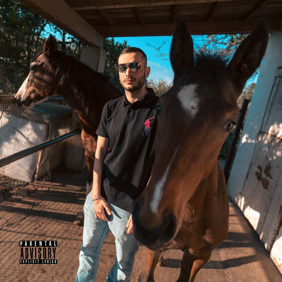 POLO DI POLO - Single by TIRA TIRA album cover