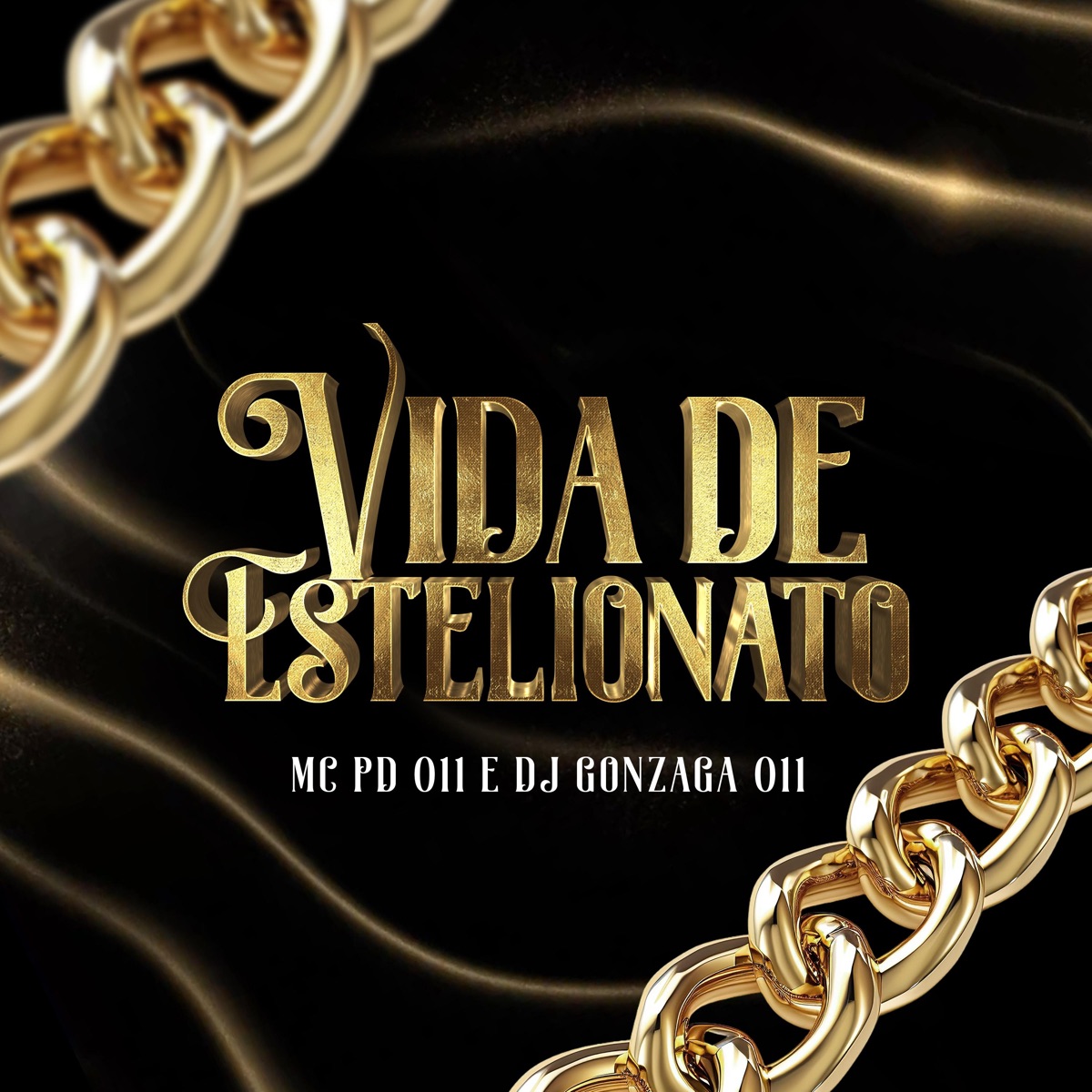 VIDA DE ESTELIONATO - Single by Mc PD 011 & dj gonzaga 011 album cover