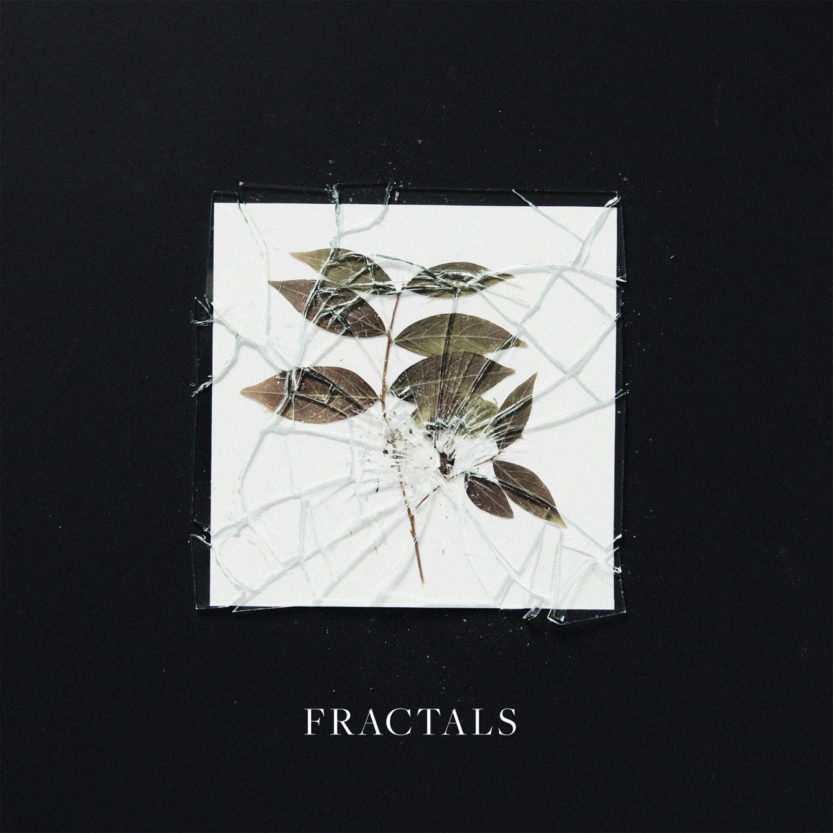 Fractals by Mike Lesirge & Guillaume Jambel album cover