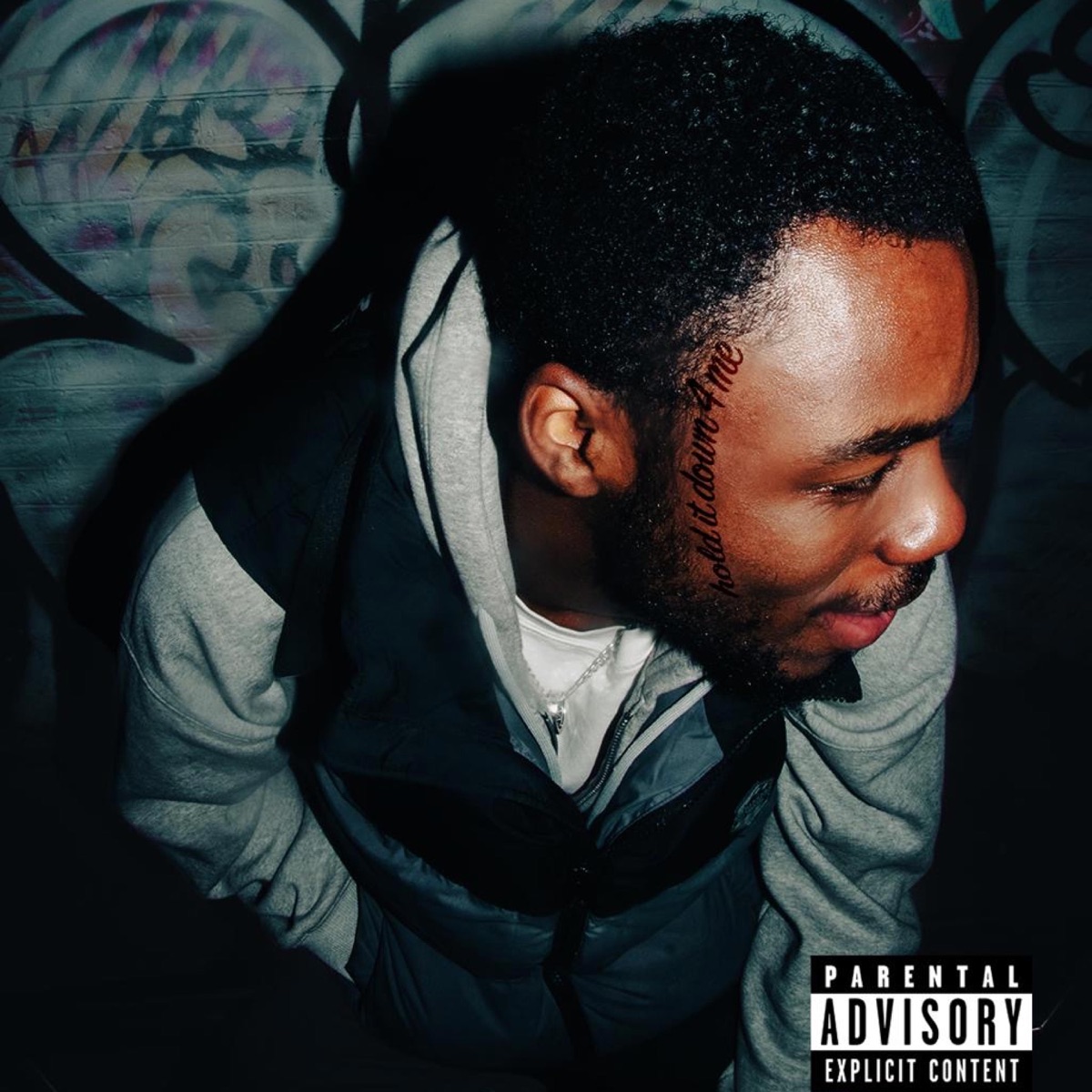Hold It Down 4 Me - Single by Tyriek Butcher album cover