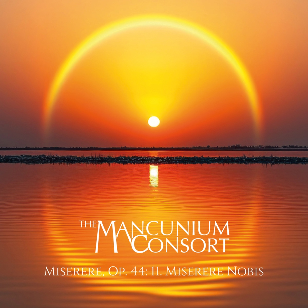 Miserere, Op. 44: 11. Miserere Nobis - Single by The Mancunium Consort album cover