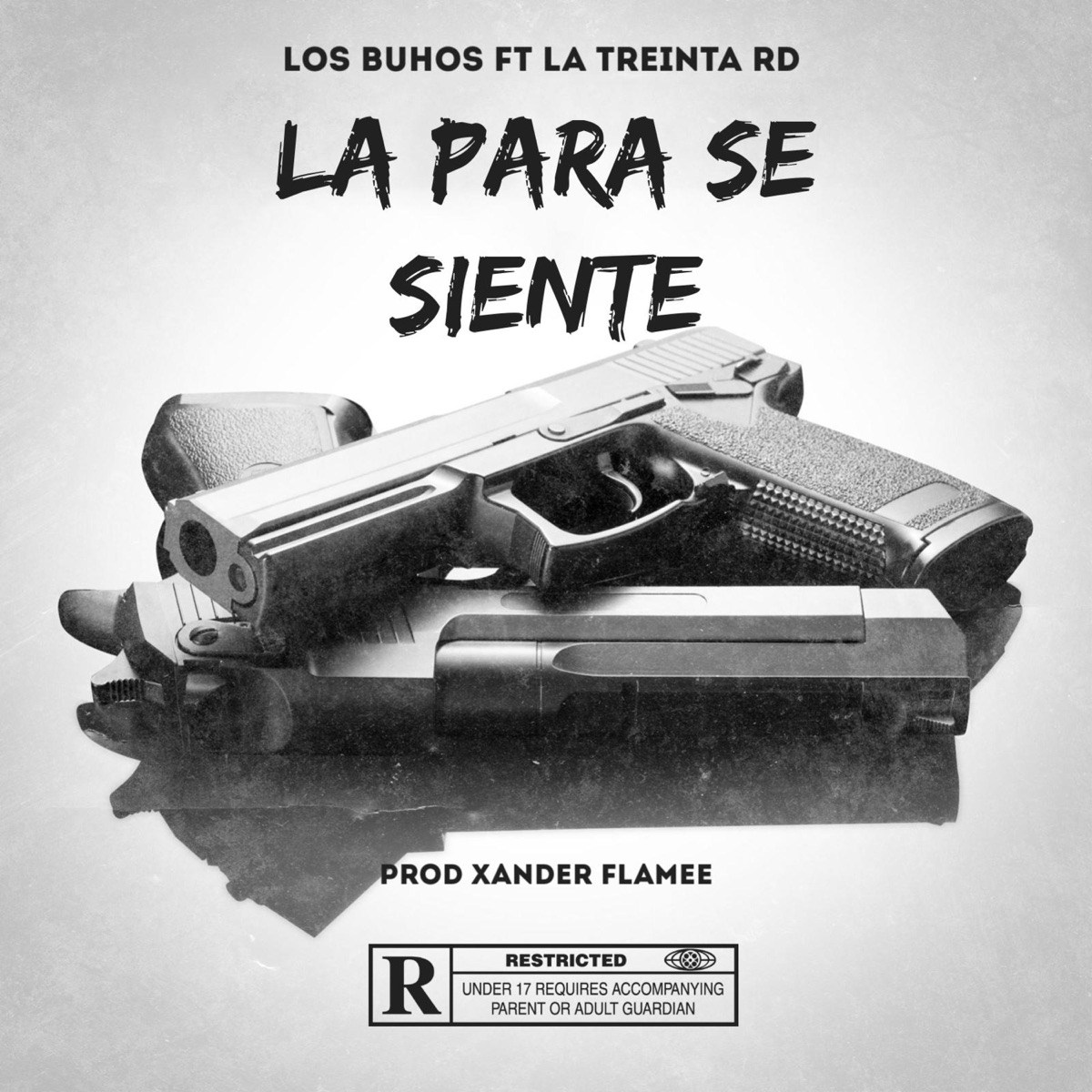 La Para Se Siente (feat. Xander Flamee, El Movimiento 420, Mc Fulvio, Malon HR, El Depre & Kanoxx Trvp) - Single by LA TREINTA RD album cover