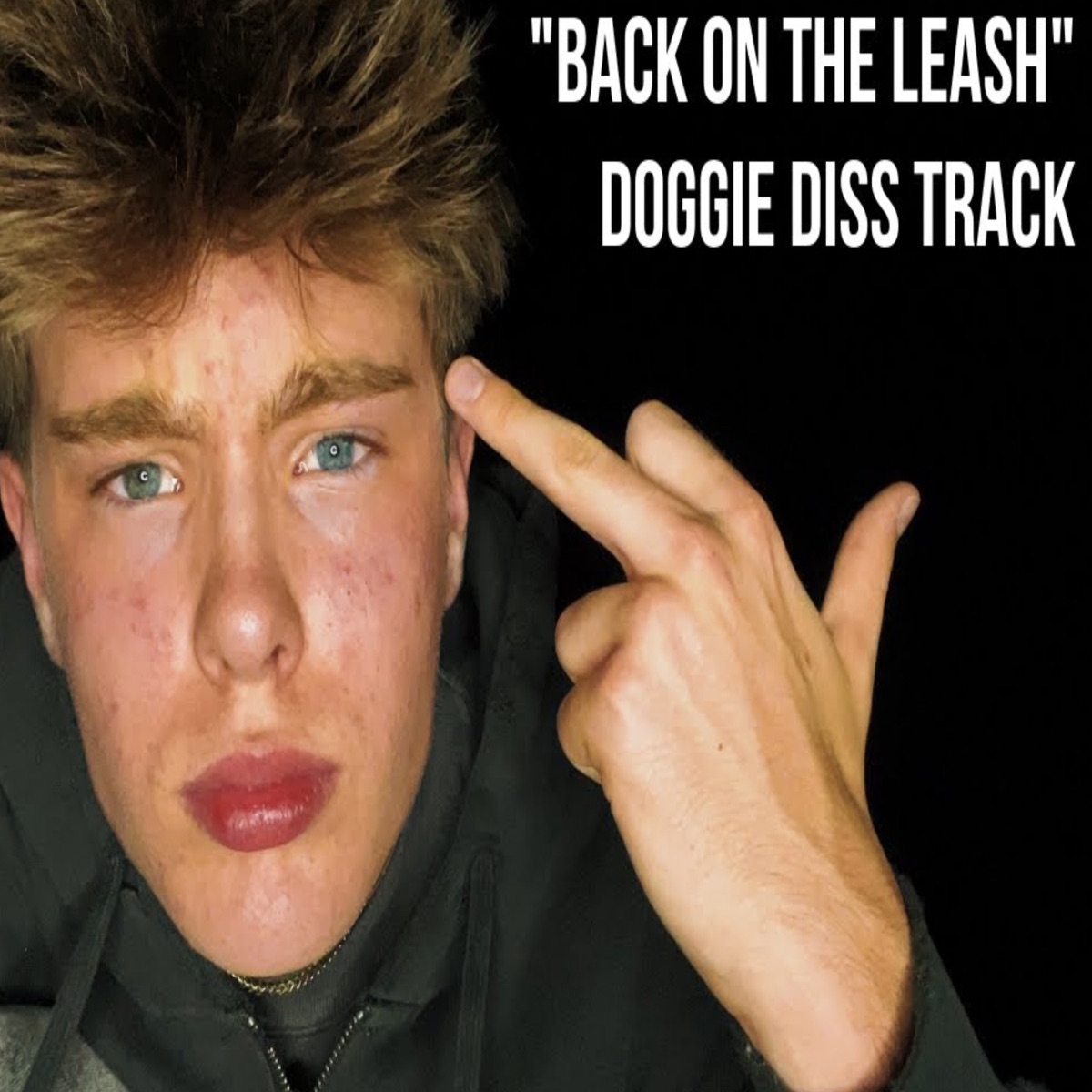BACK ON THE LEASH - DOGGIE DISS TRACK (feat. simplyhope33) - Single by Weston Smiddy album cover