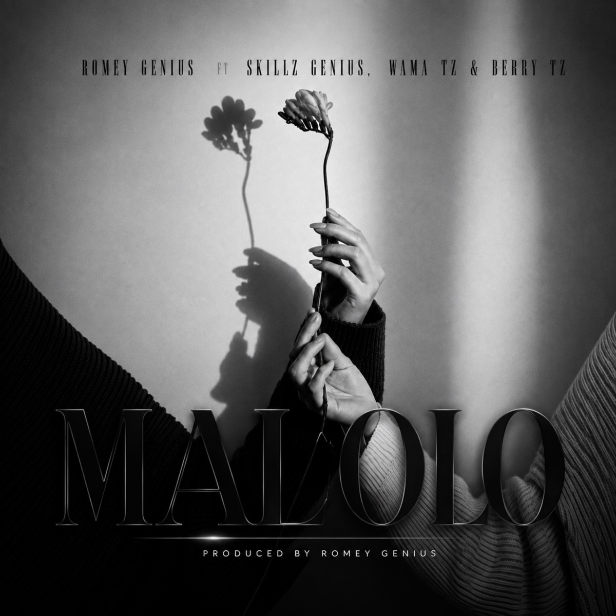 Malolo (feat. Wama Tz & Skillz Genius) - Single by romey genius album cover