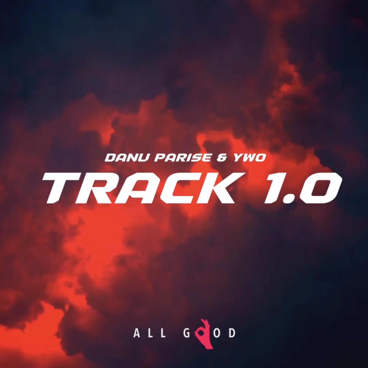 Track 1.0 - Single by DANU PARISE & YWO album cover