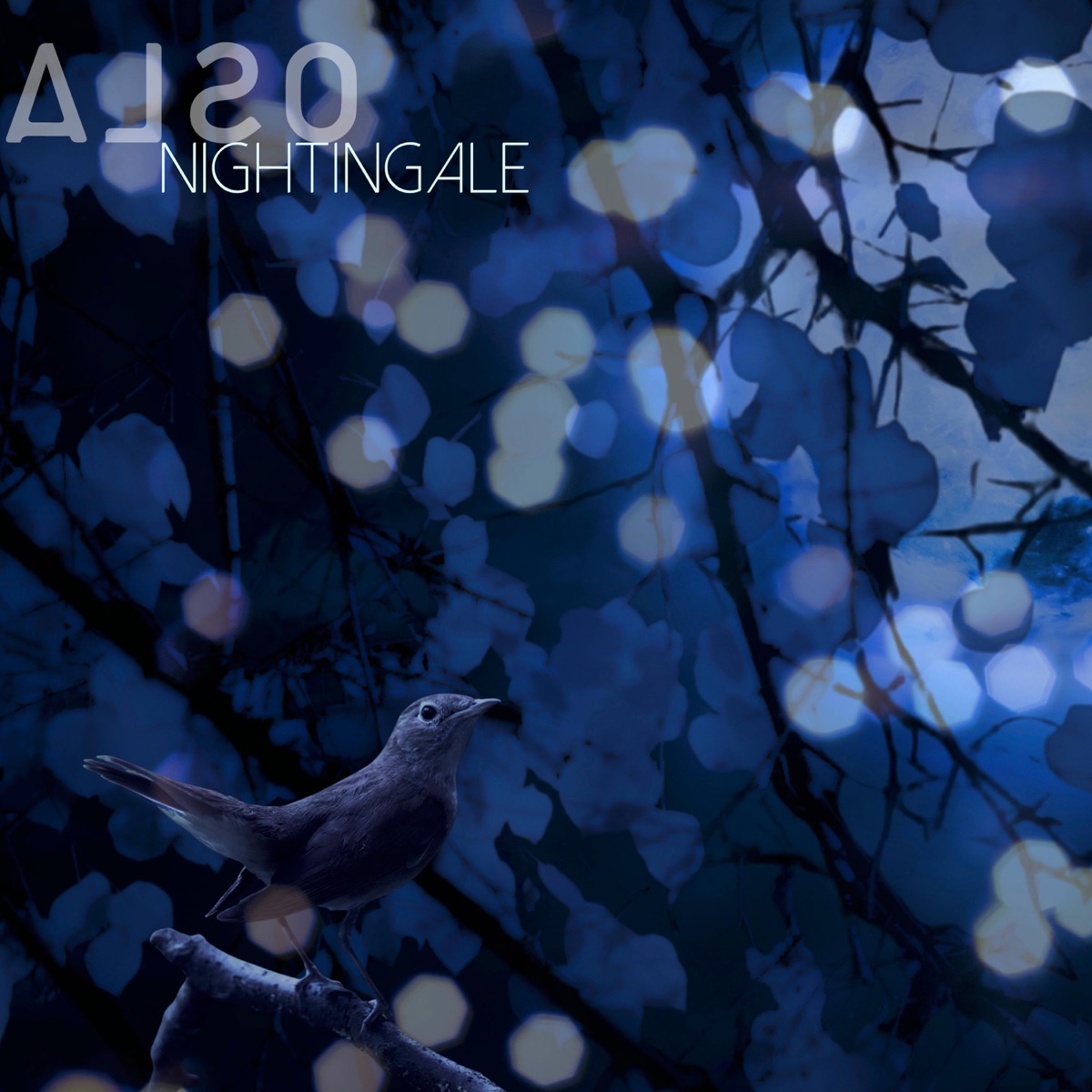 Nightingale - Single by ALSO album cover