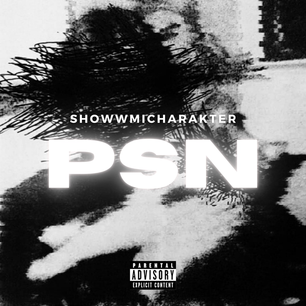 PSN - Single by SHowwMiCharakter album cover