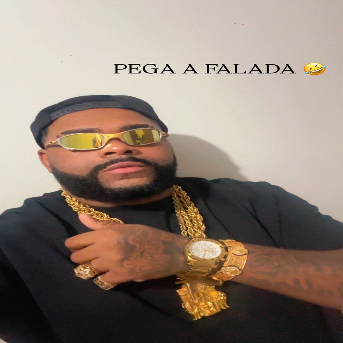 Pega a Falada - Single by Corvina Dj album cover