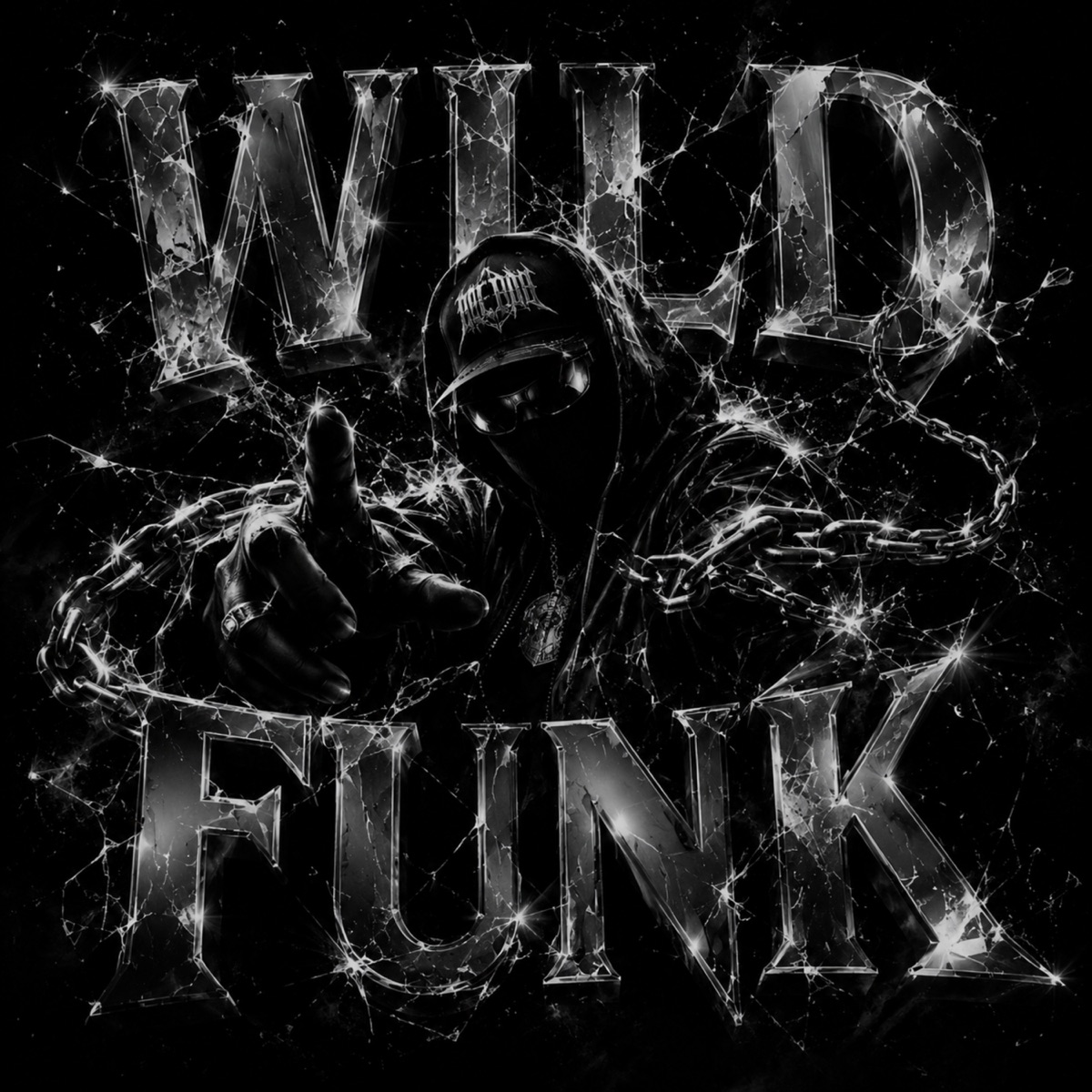 WILD FUNK - EP by DJ Gomez, DJ LK 011 & Mc Gw album cover