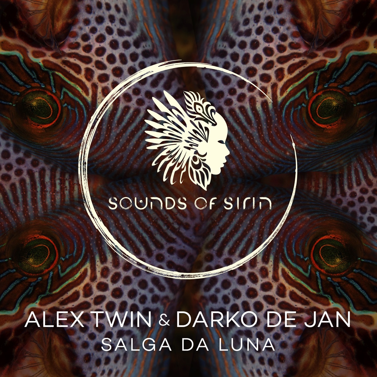 Salga la Luna - Single by Alex Twin & Darko De Jan album cover