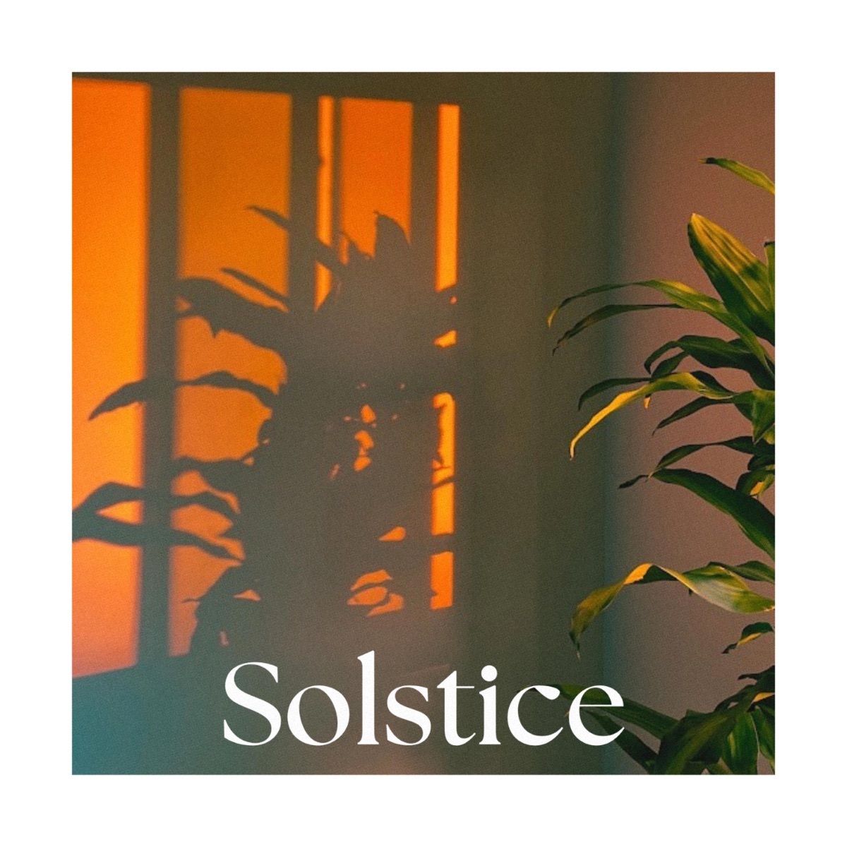 Solstice (feat. Stemo) - Single by Swill album cover