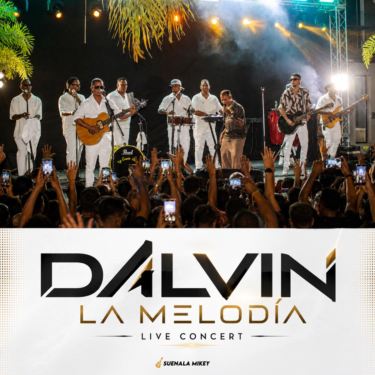 Live Concert by Dalvin La Melodia album cover