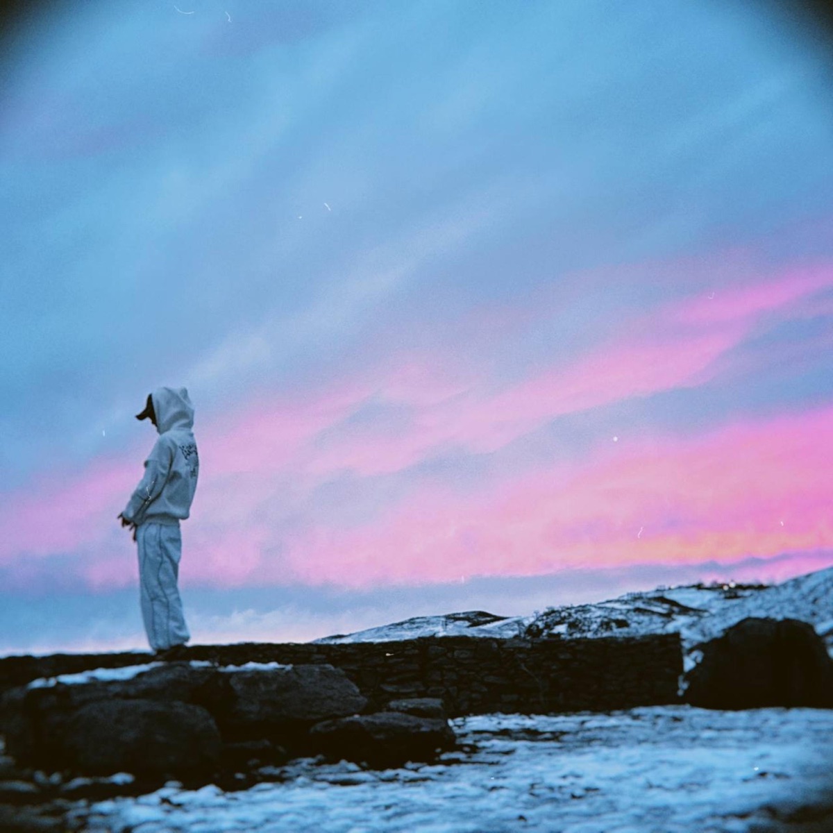 +bussines-bichis - Single by Nehuen Ariki album cover