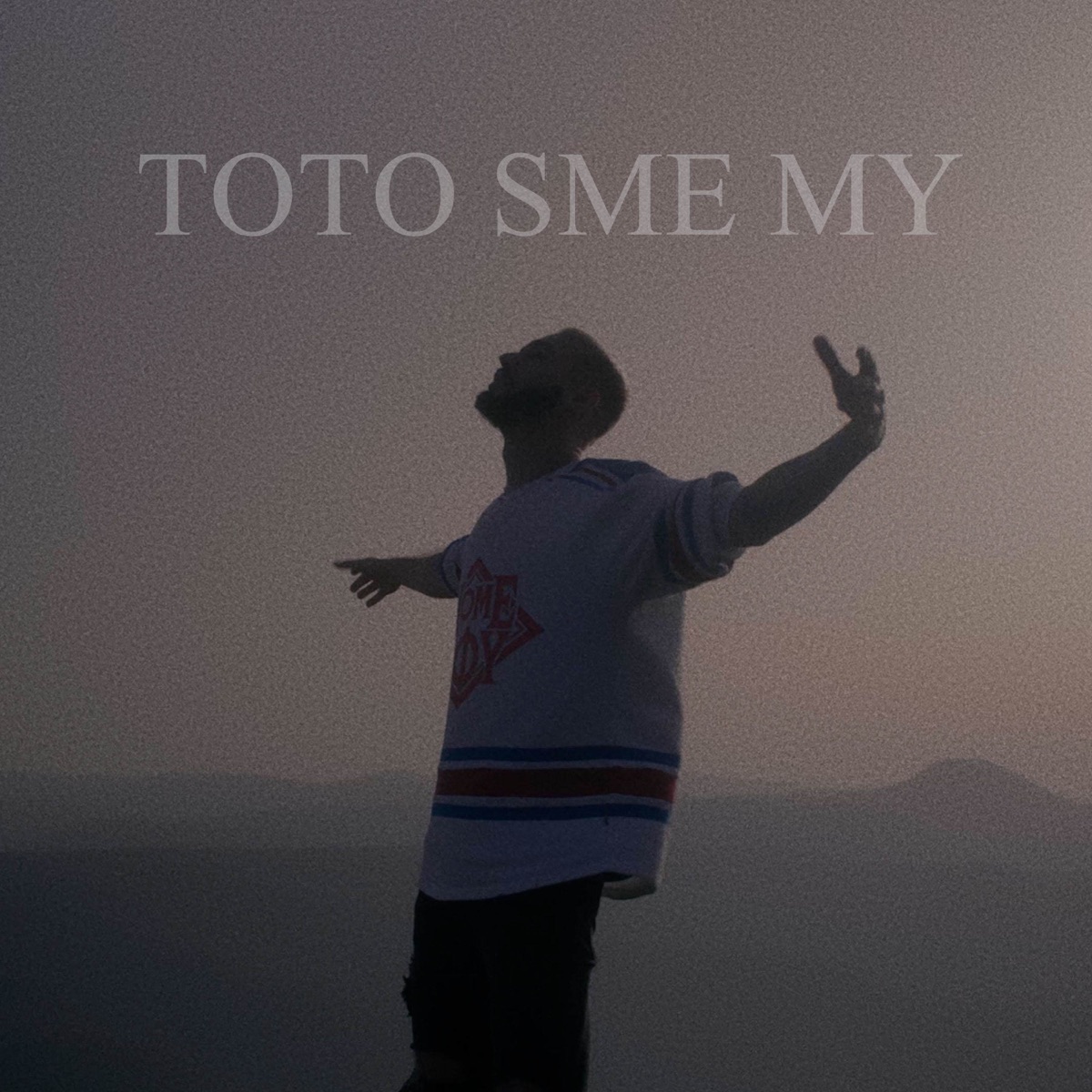 Toto sme my - Single by Puerto & Adiss album cover