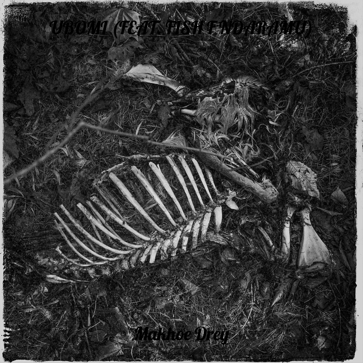 Ubomi (feat. Fish F Ndaramu) - Single by Makhoe Drey album cover