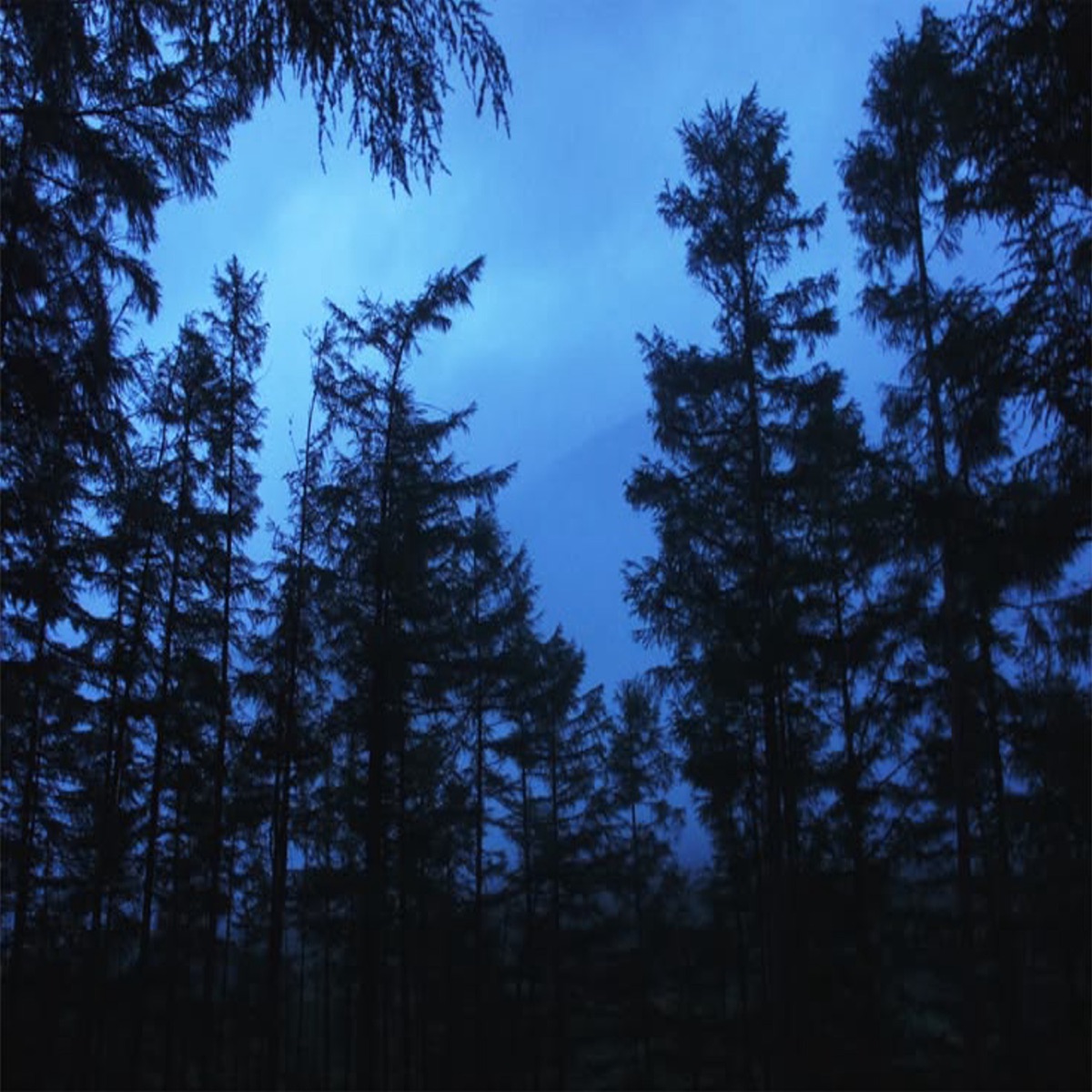 numb - Single by Fraqu album cover