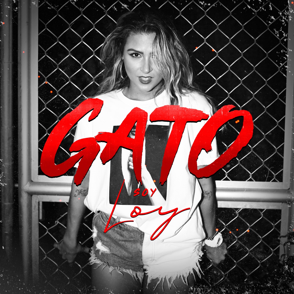 Gato - Single by Soy Loy album cover