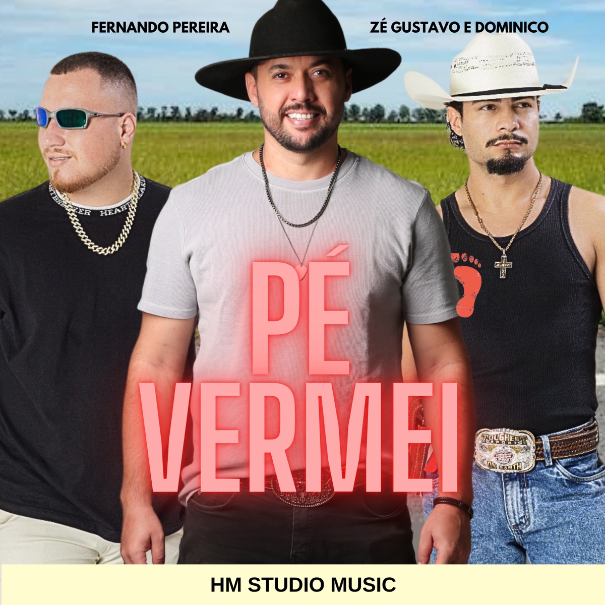 Pé Vermei - Single by Fernando Pereira & Zé Gustavo & Dominico album cover