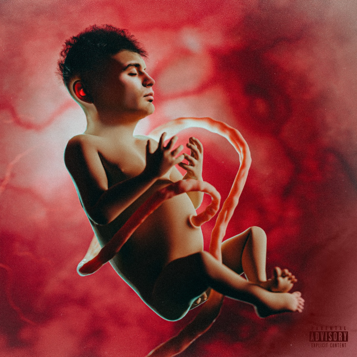 Secondo Trimestre by Macello album cover