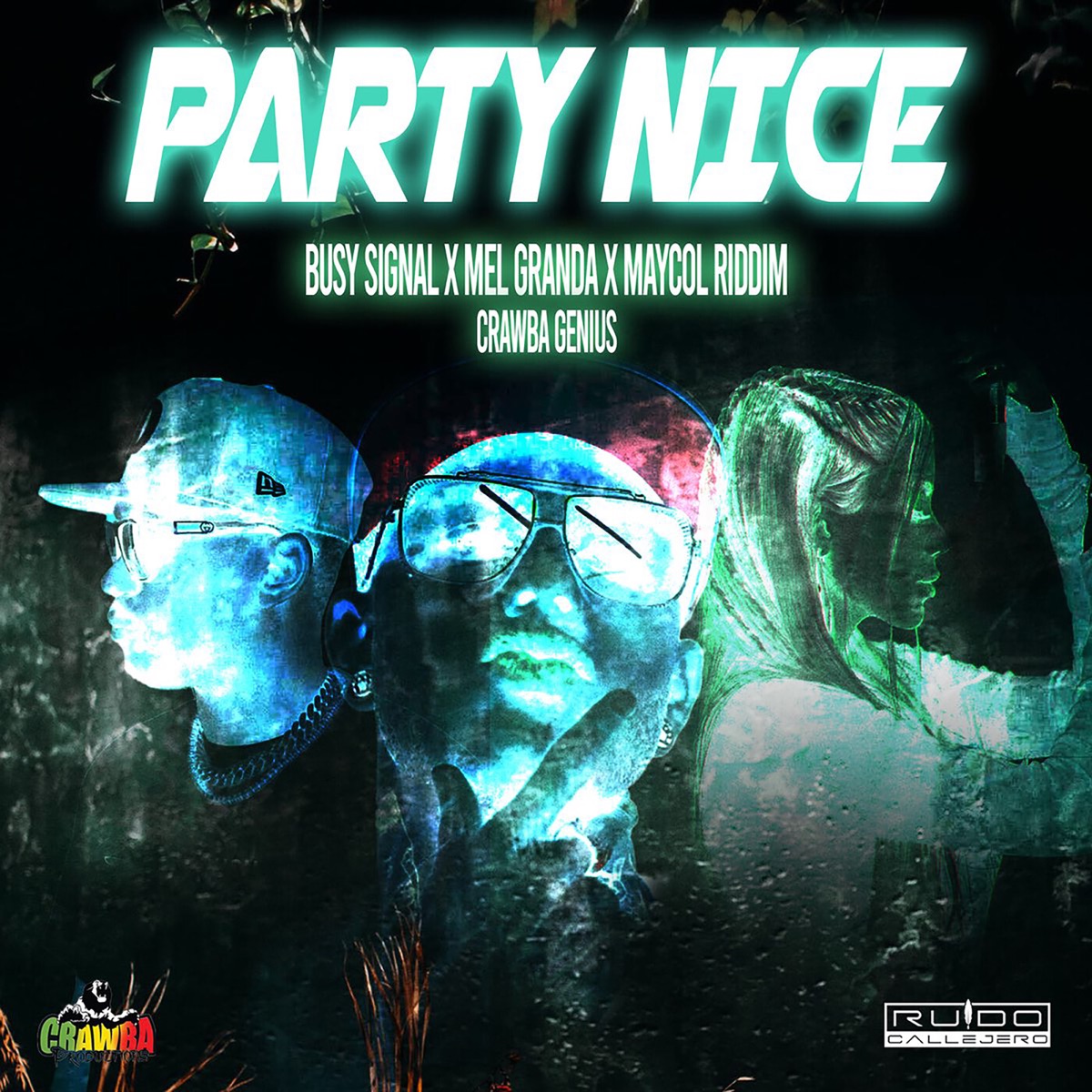 Party Nice (feat. Crawba Genius) - Single by MEL GRANDA, Busy Signal & Maycol Riddim album cover