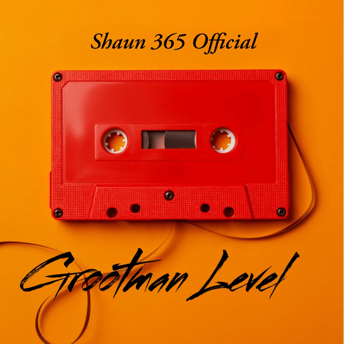 Grootman Level - Single by Shaun 365 Official album cover