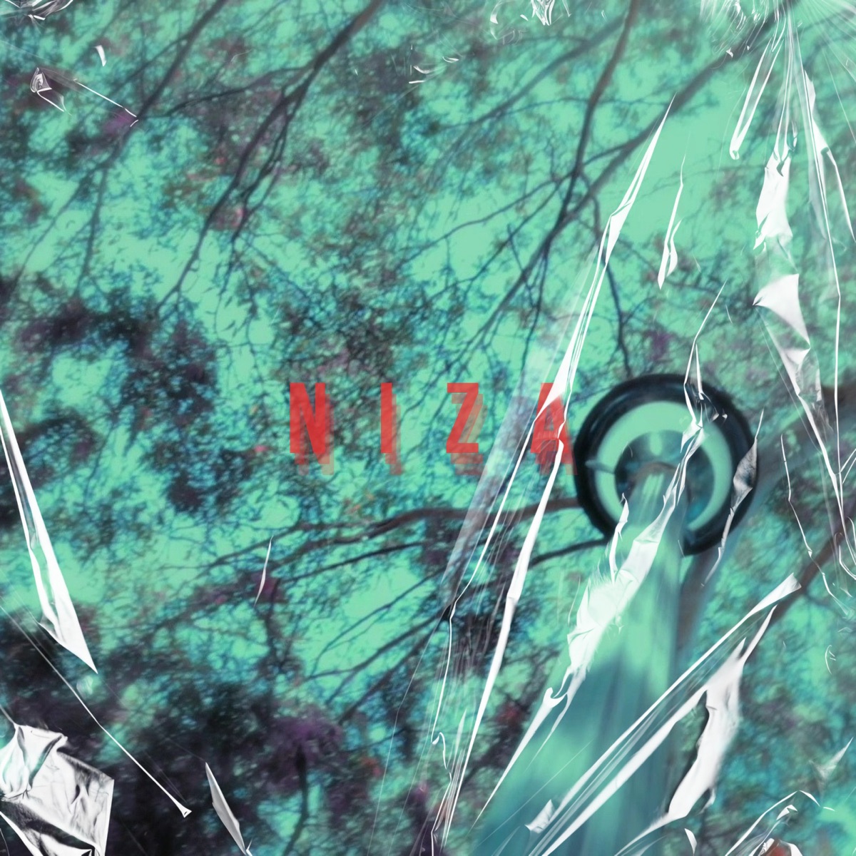 Niza - Single by D.A.C & NOMONEY album cover