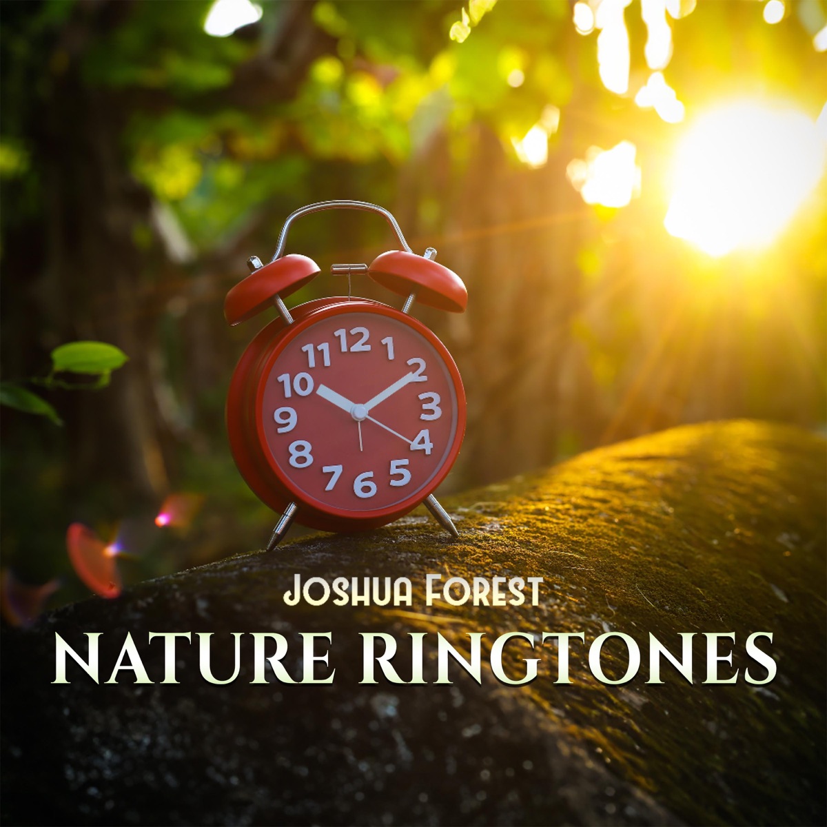 Nature Ringtones: Gentle Wake Up, Happy Morning, Nature Alarm Clock (Singing Birds, Rain & Waves) by Joshua Forest album cover
