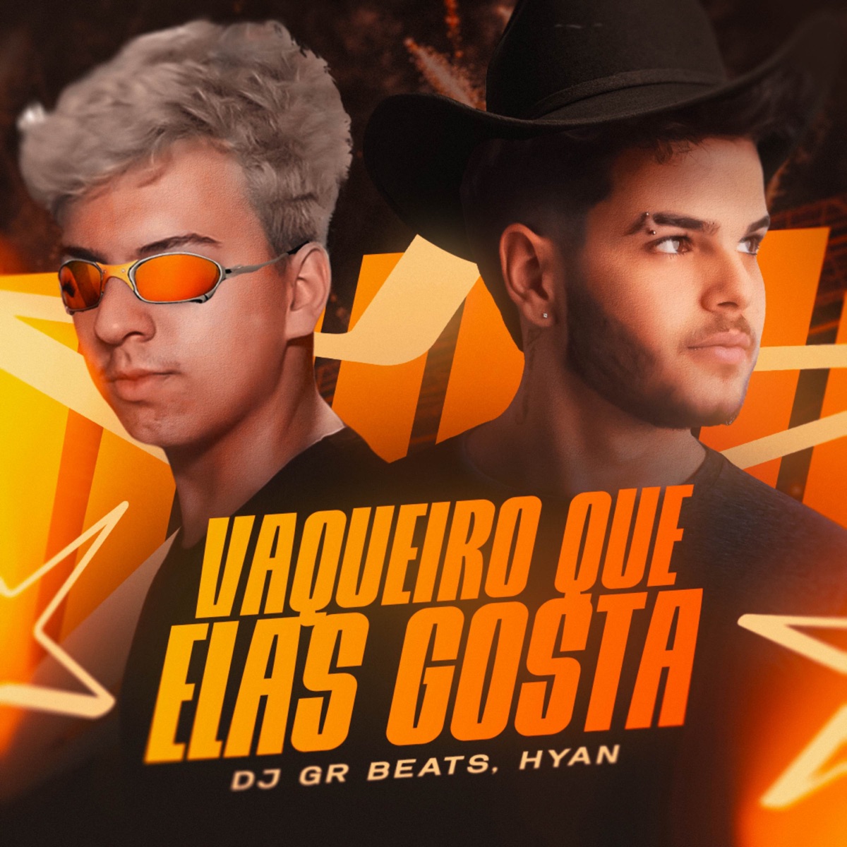 Vaqueiro Que Elas Gosta (Piseiro) - Single by DJ GR BEATS, Hyan & HitsWave album cover
