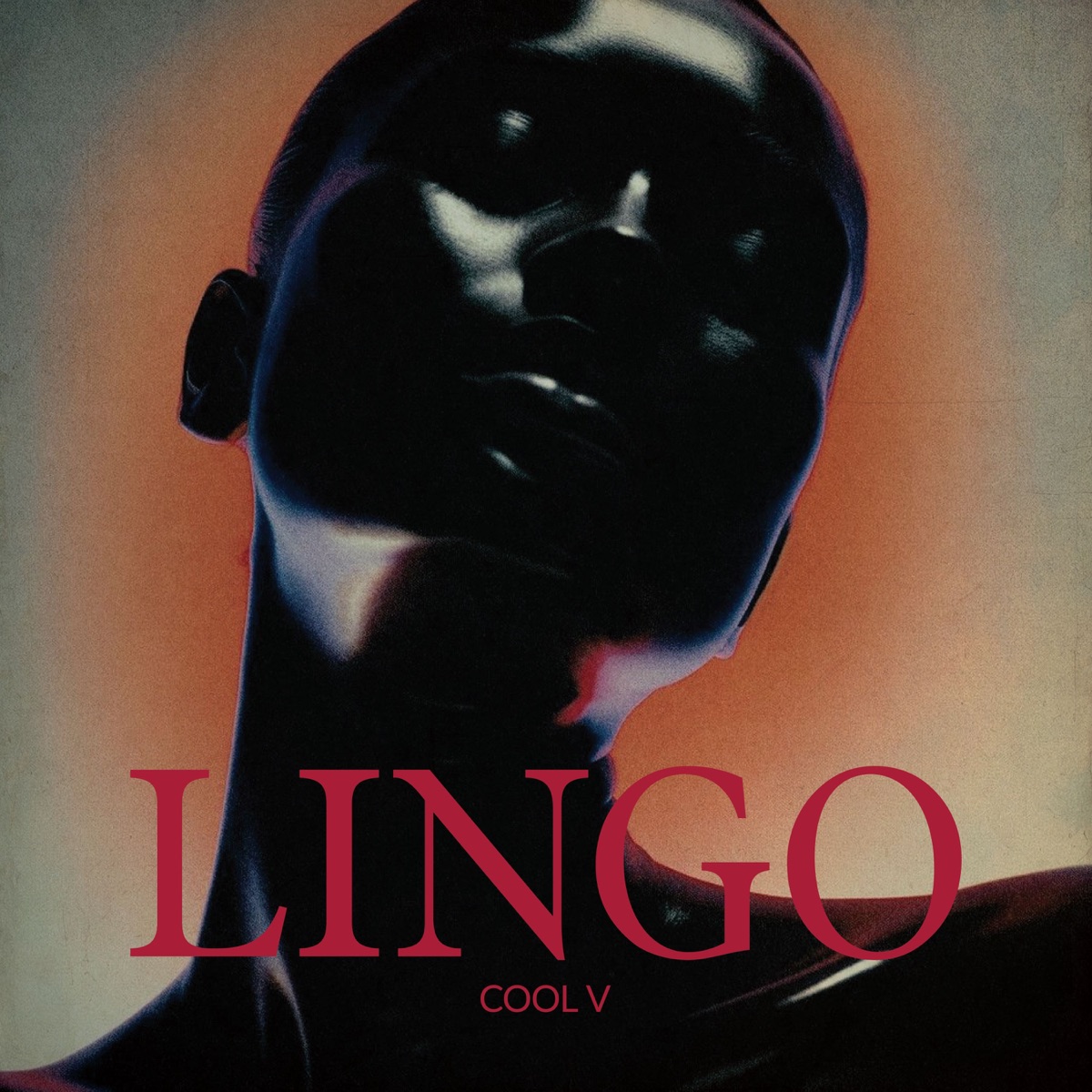 Lingo - Single by Cool V album cover