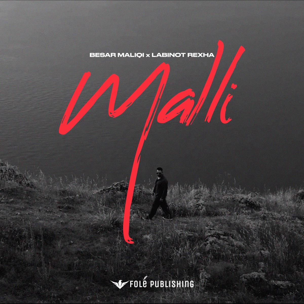 MALLI - Single by Besar Maliqi & Labinot Rexha album cover