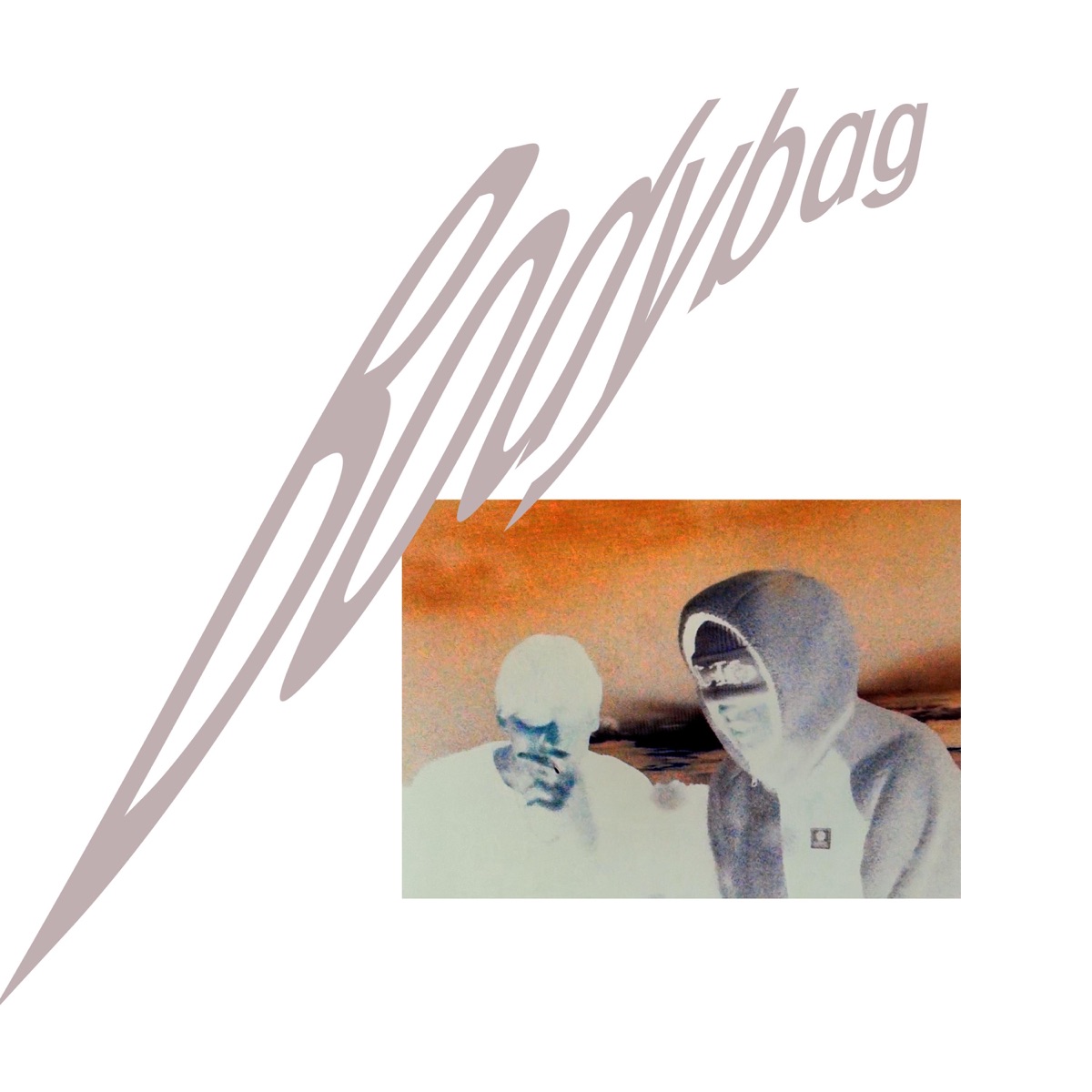 Bodybag - Single by Raze & pauley album cover