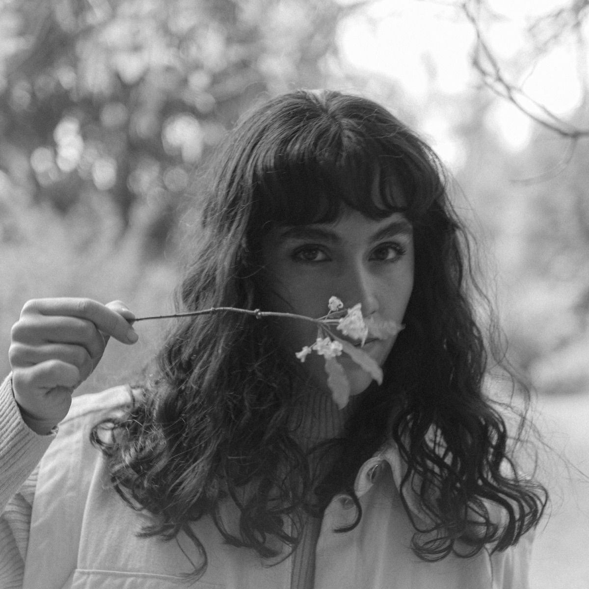 Siembra - Single by Sarita album cover