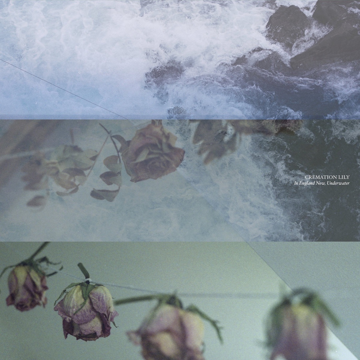In England Now, Underwater by Cremation Lily album cover