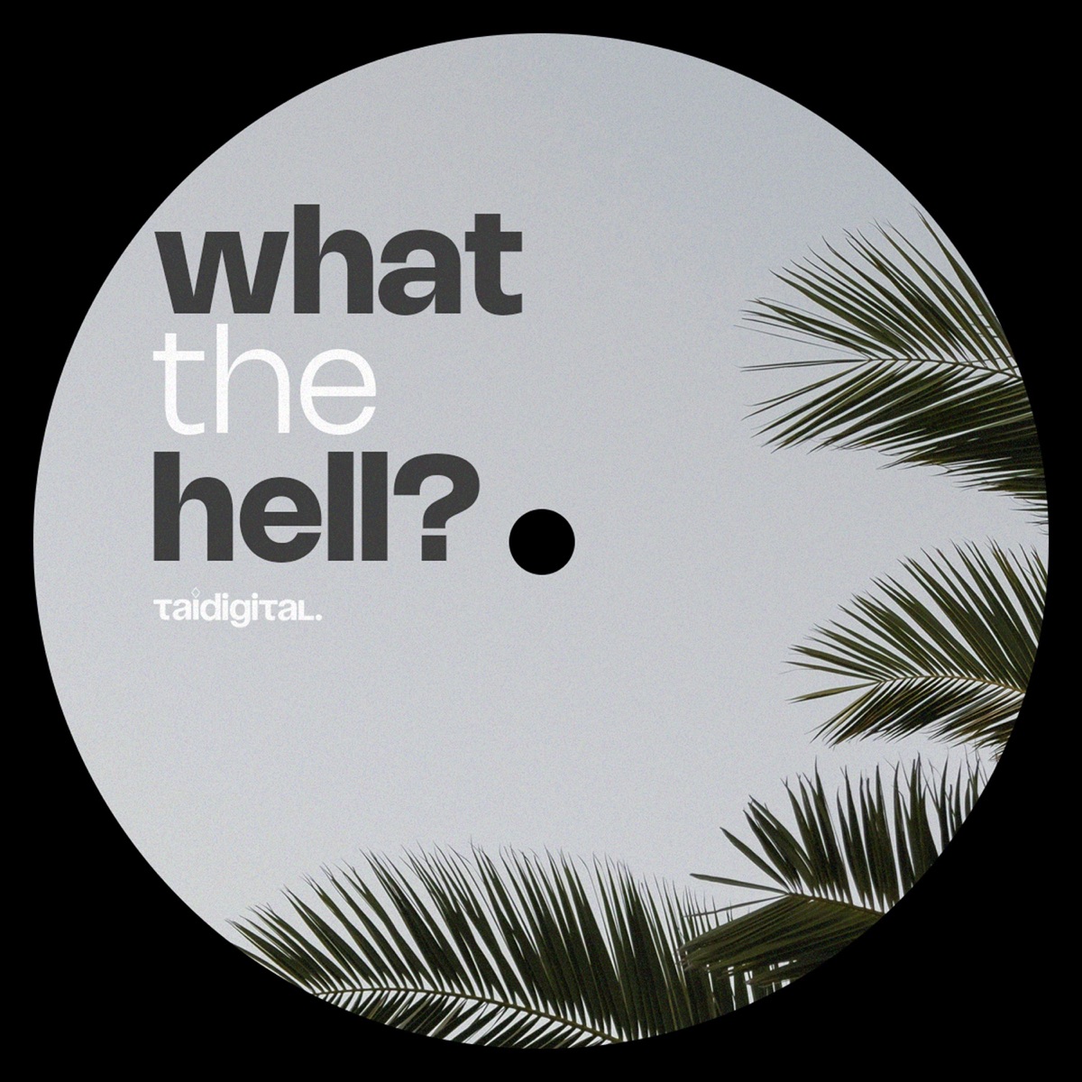 What the Hell? - Single by TAIDigital album cover