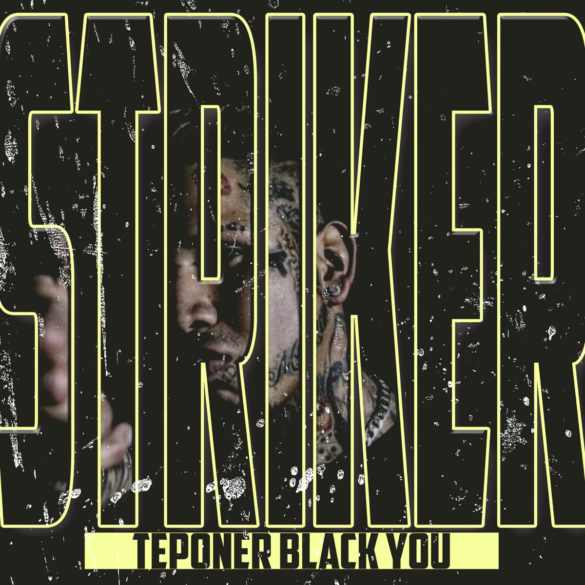Striker - Single by Teponer Black You album cover