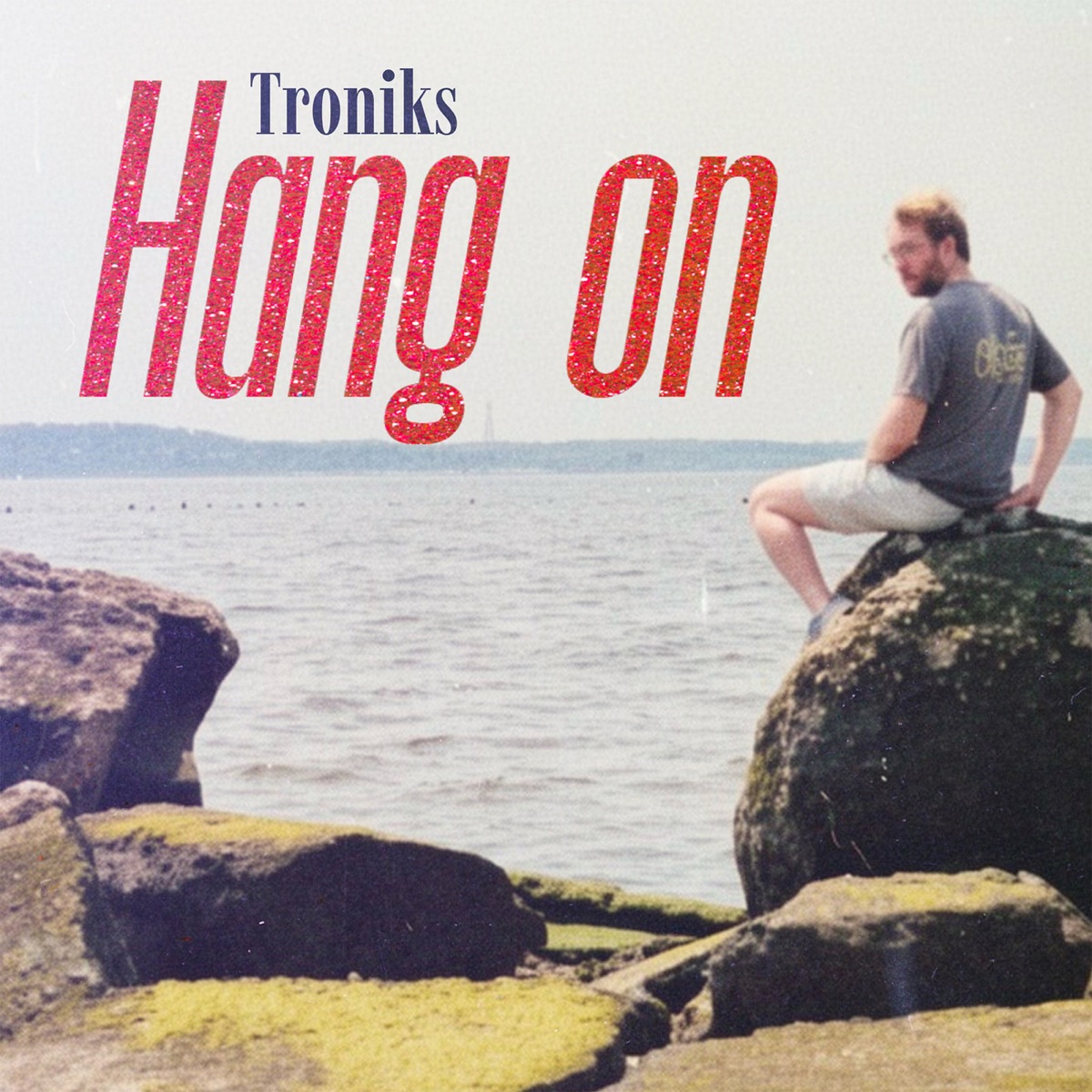 Hang On - Single by Troniks album cover