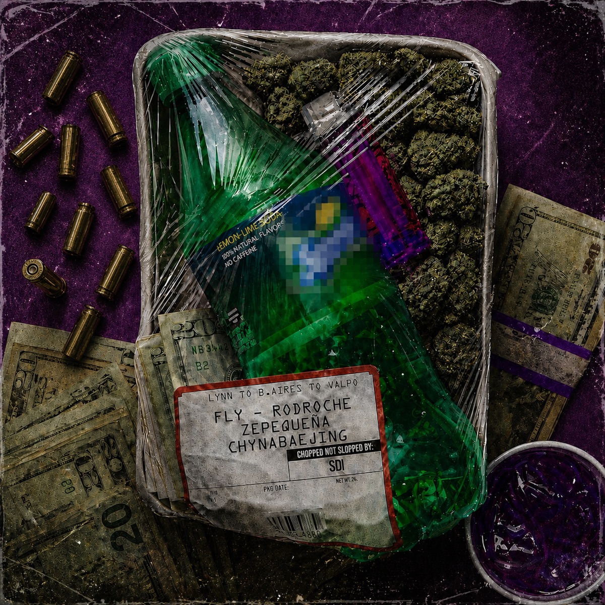 Fly - Single by Rod Roche, Zé Pequeña & Chyna Baejing album cover