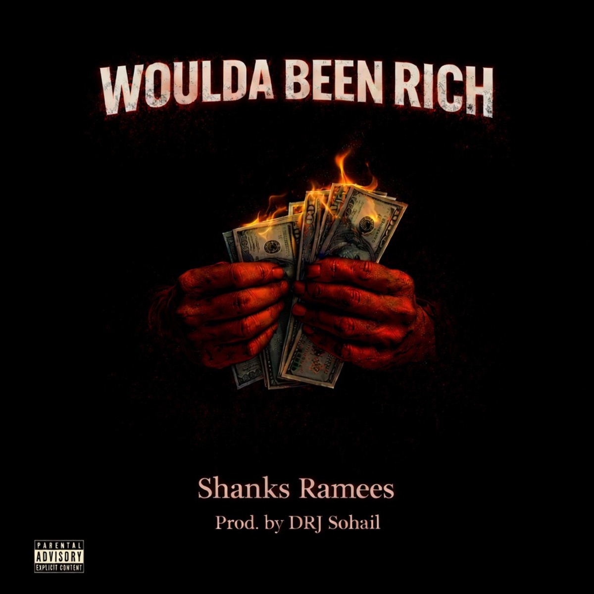 Woulda Been Rich (feat. DRJ Sohail) - Single by shanks. & Ramees album cover