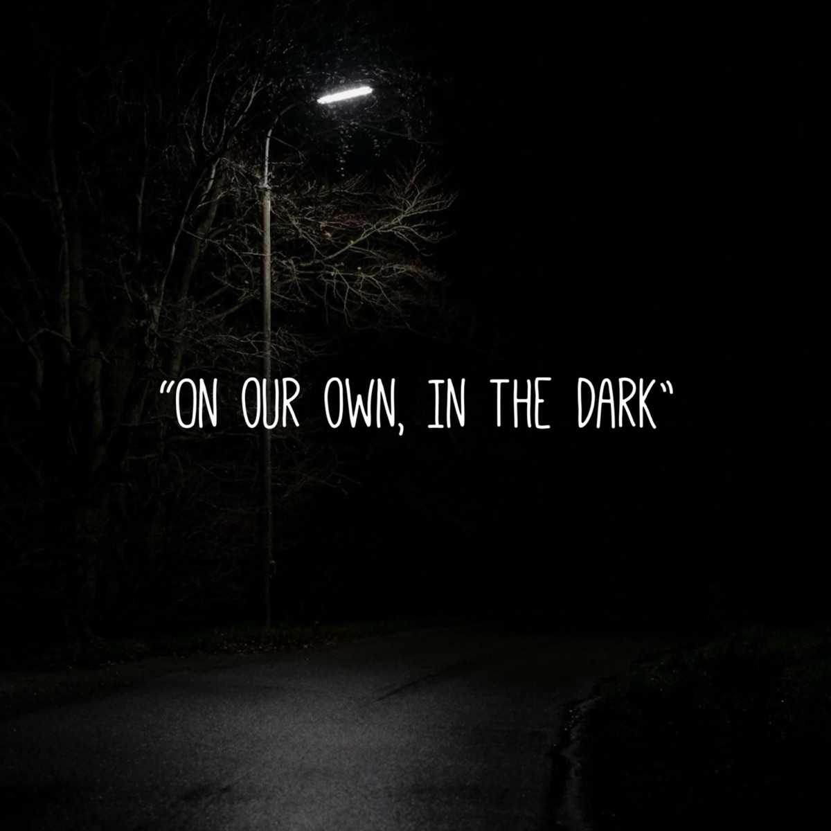 On Our Own, In The Dark (feat. Emo Fruits) - Single by Leticionna Snow album cover