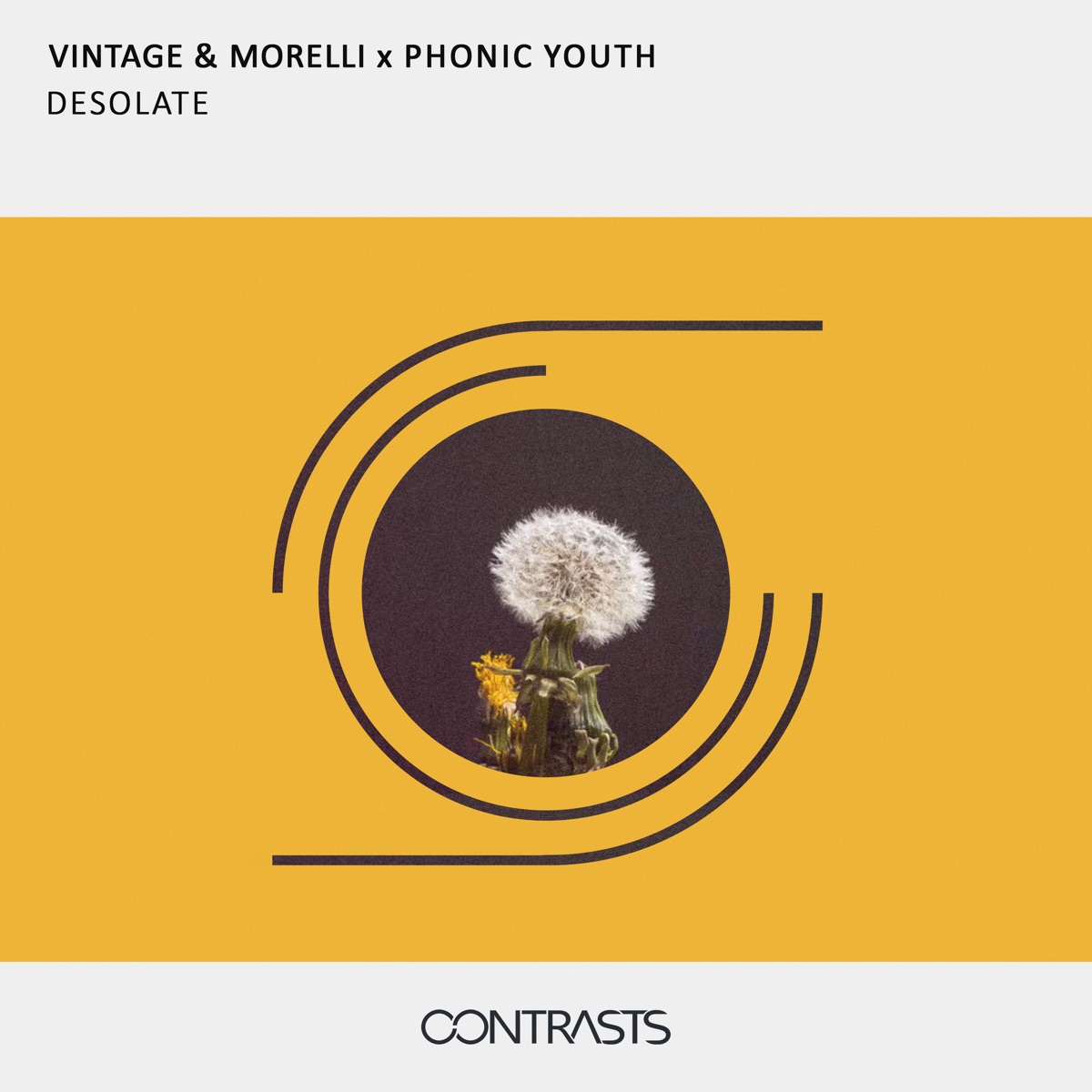 Desolate - Single by Vintage & Morelli & Phonic Youth album cover