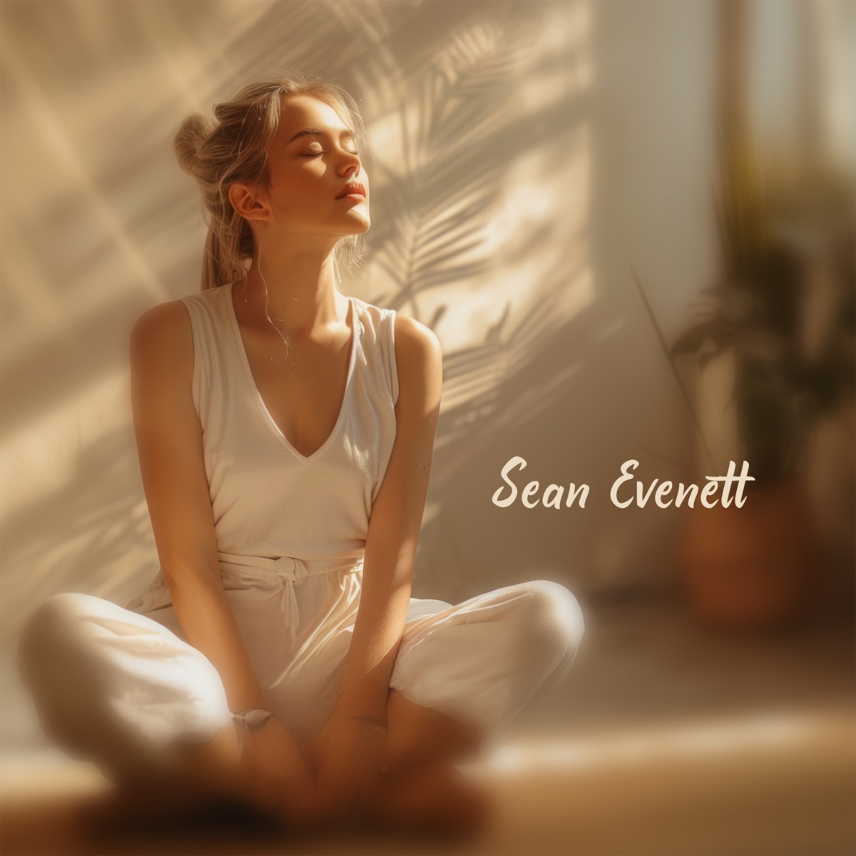 Sunlit Reflection Pause by Sean Evenett album cover