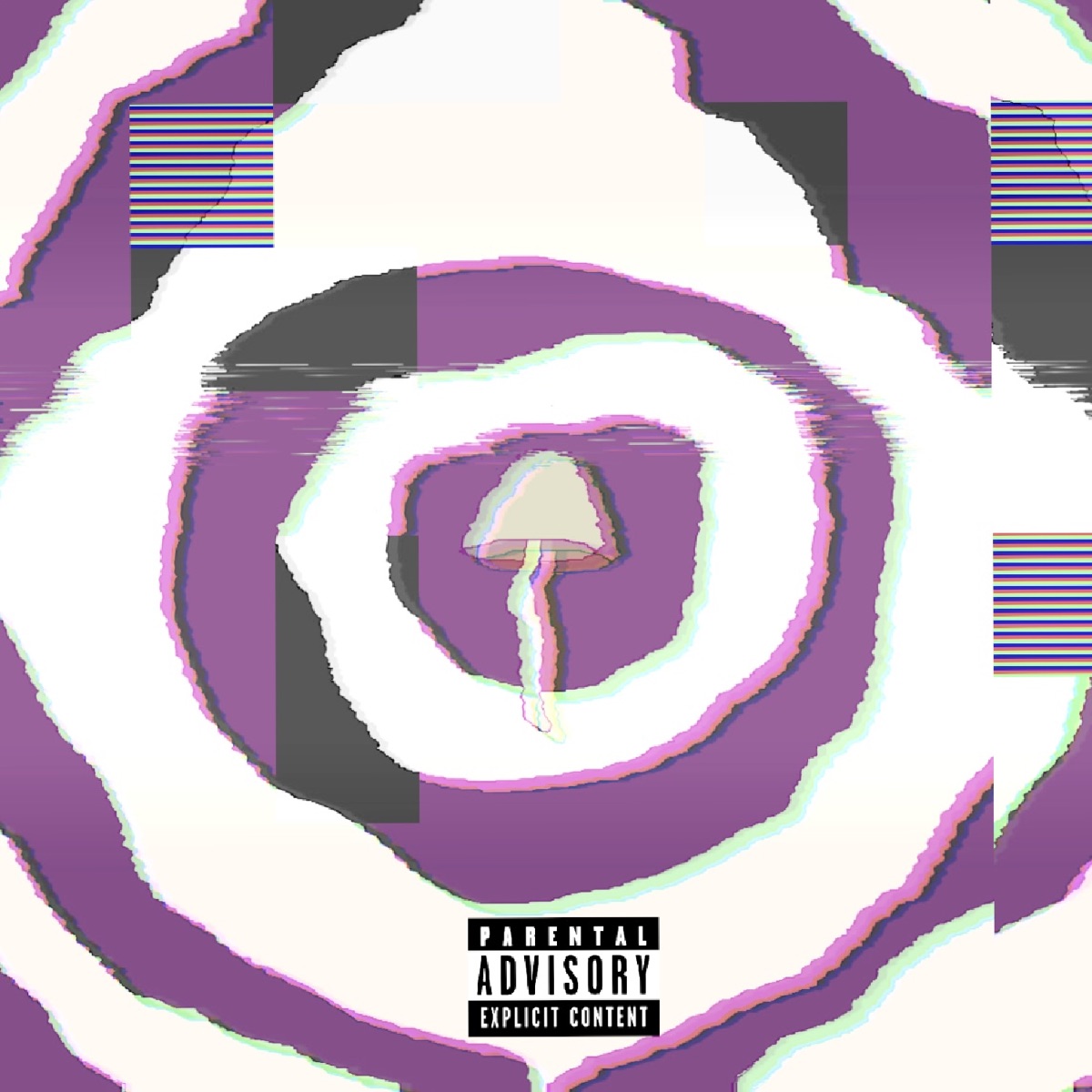 Desant - Single by Slim Szczegi, Mayor & Astrowilk album cover