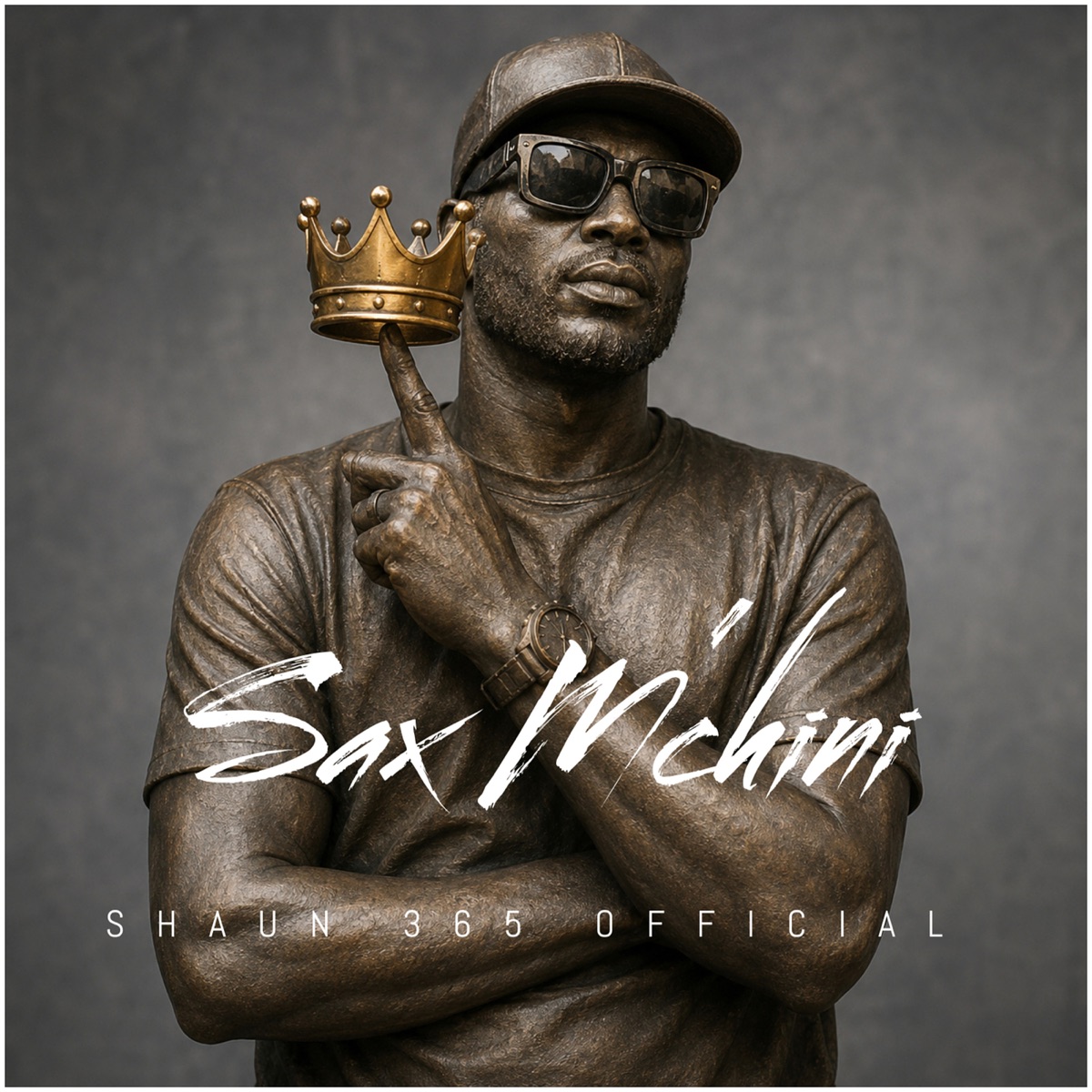Sax M'chini - Single by Shaun 365 Official album cover