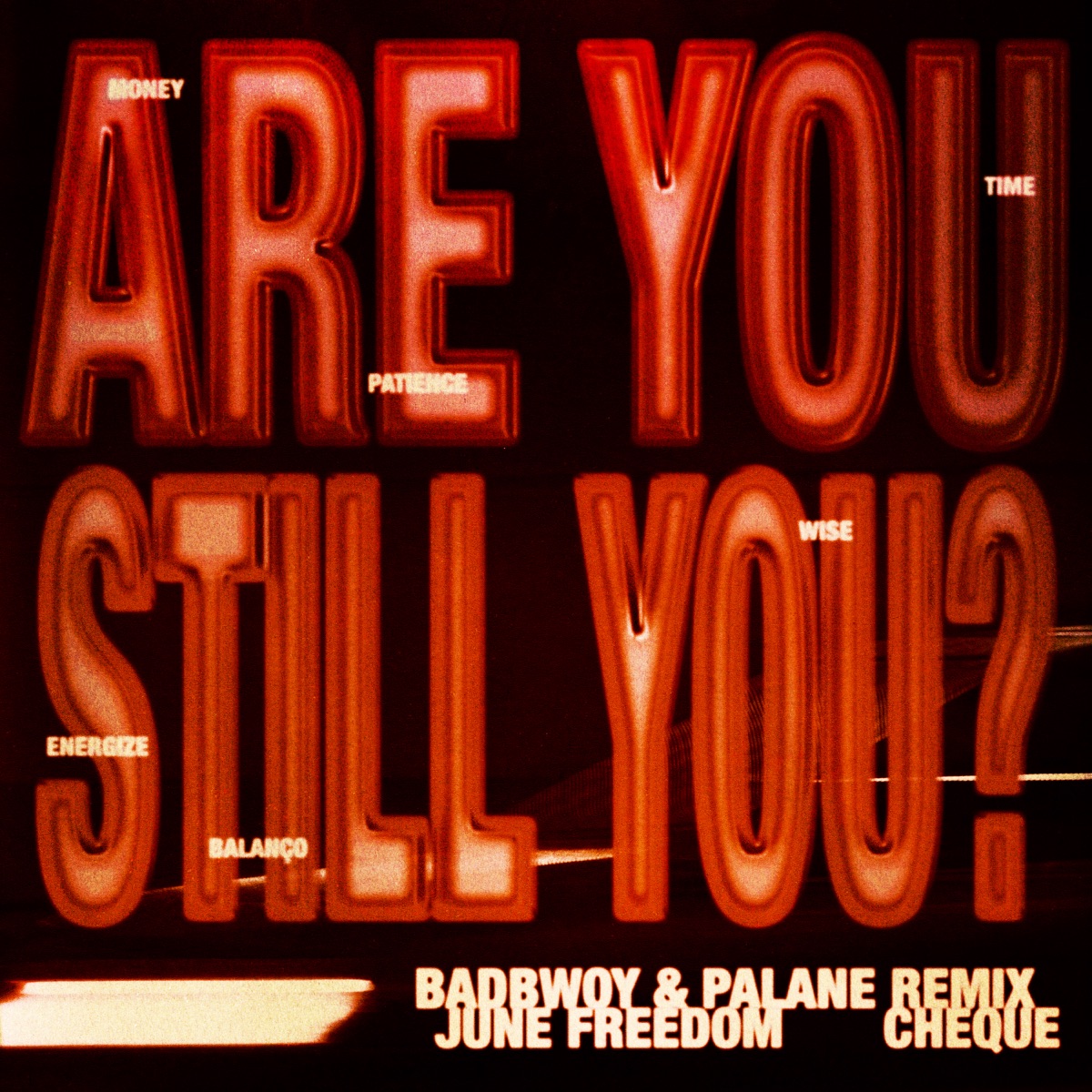Are You Still You? (Badbwoy & Palane Remix) - Single by June Freedom, Cheque, Badbwoy & Palane album cover