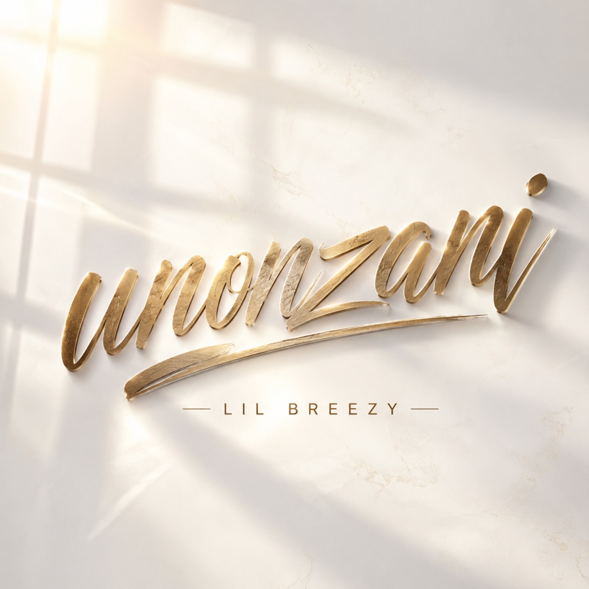 Unonzani - Single by Lil Breezy album cover